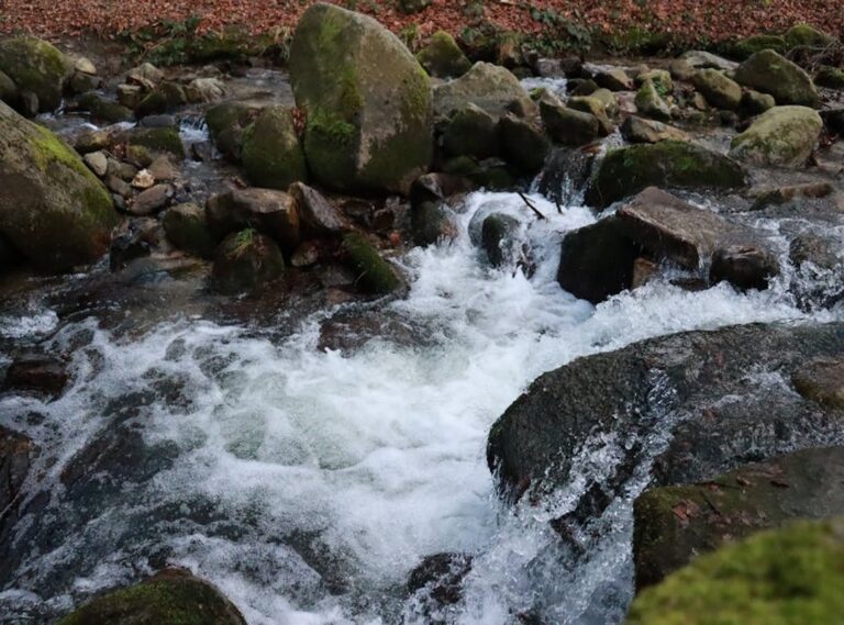 How to Stream with Tgarchiveconsole