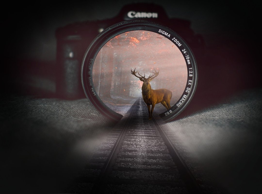 Latest Gadjets for Gaming Zardgadjets