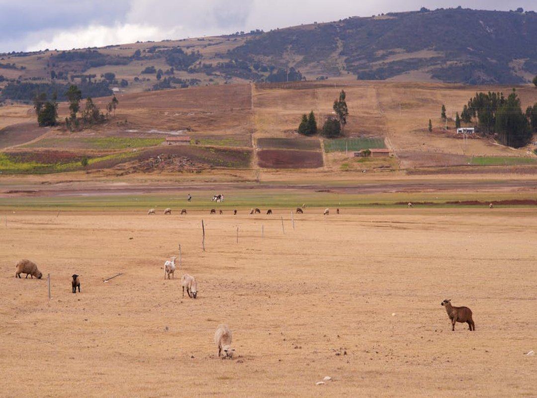 omalovánky toca boca