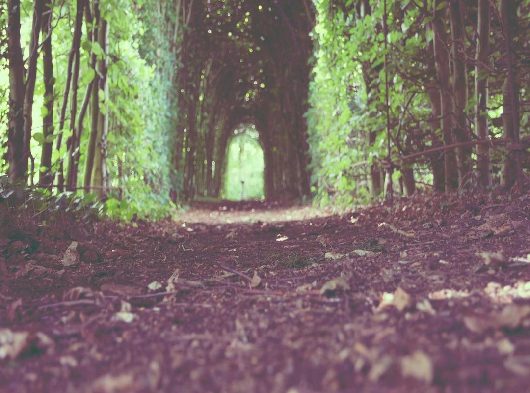 How Seeing 12:34 Impacts Your Love Life, Career, and Finances