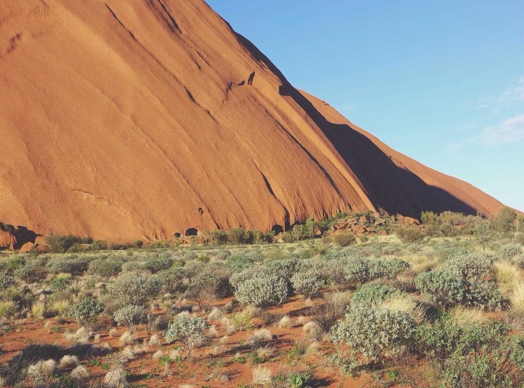 Step-by-Step Guide: Getting from Heathrow to the Stadium Gates