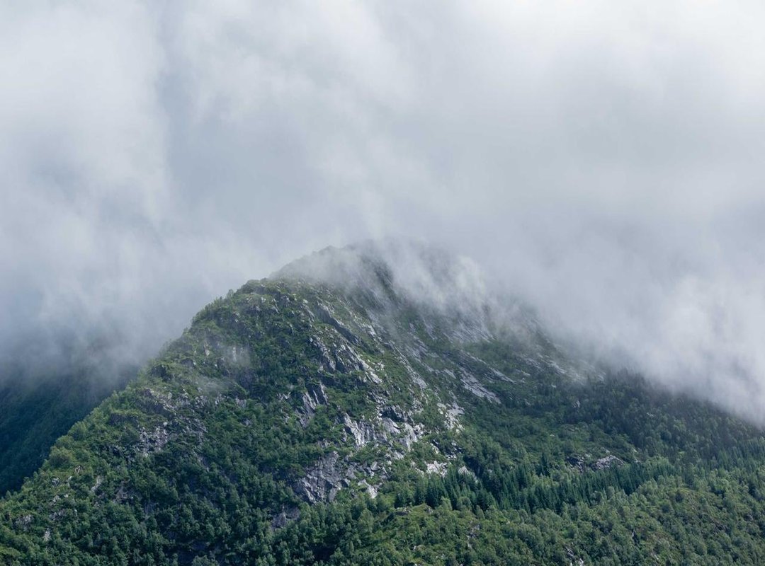 The Sweet and the Bitter: An Honest Review