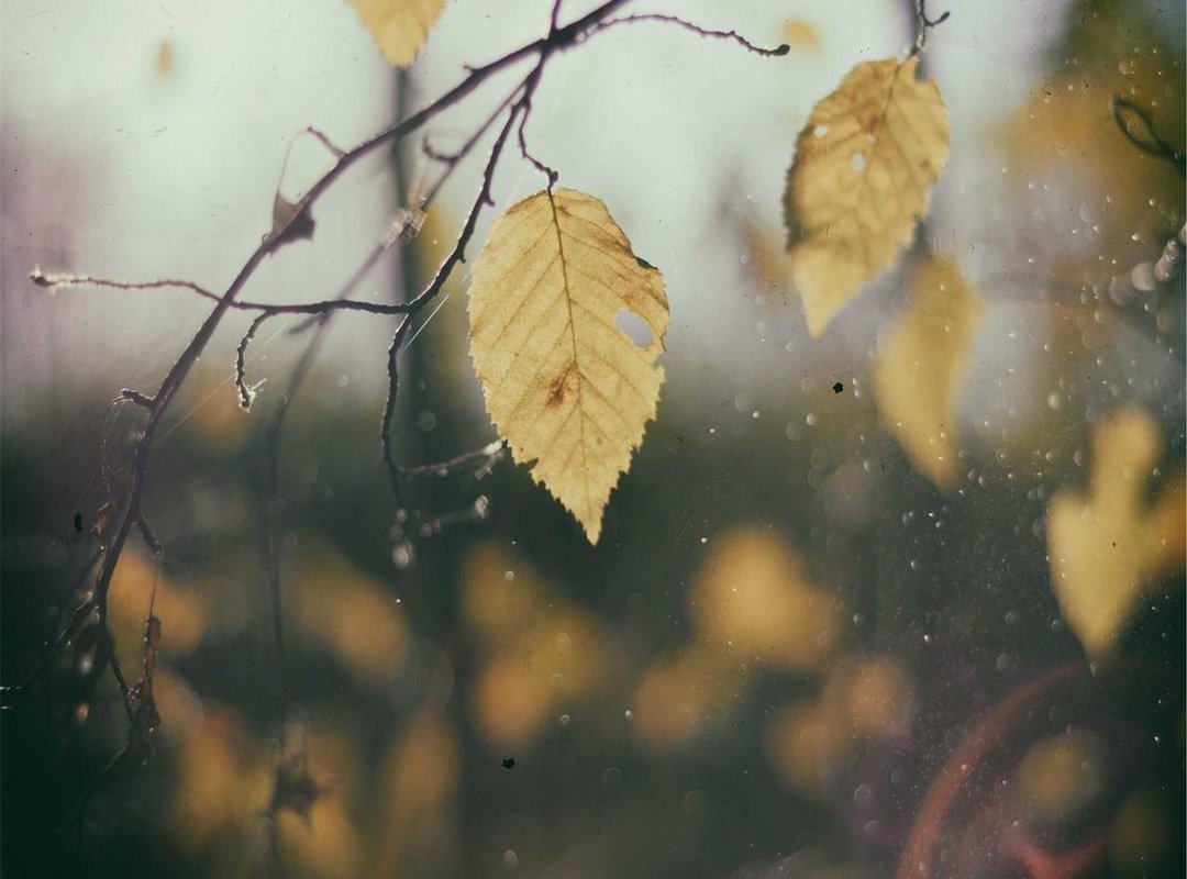 Checklist: How to Spot a Safe and Supportive Online Group