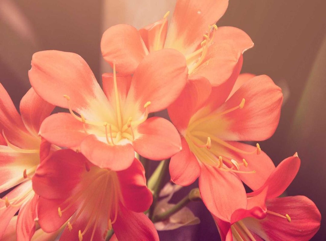 The Ultimate Jessica Biel Workout: A Weekly Breakdown