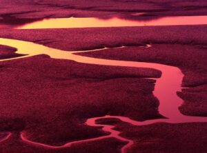 low tide in twilight chapter 73 release date