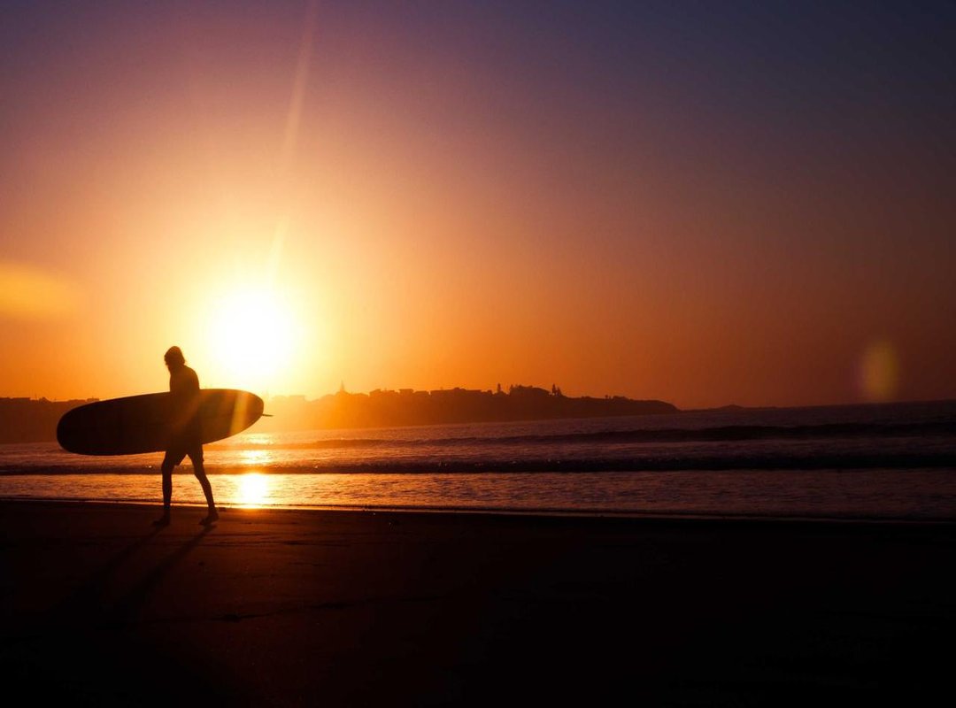 Key Differences: A Direct Comparison