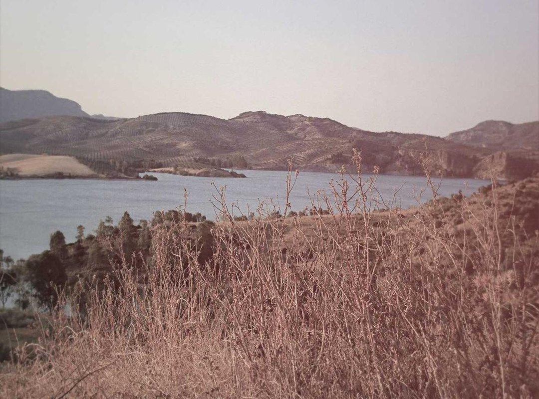 Where to Find Her Official Content (And What to Avoid)