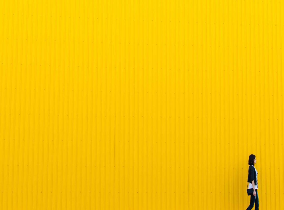 The Psychology of Absurdity: Why Our Brains Love Nonsense