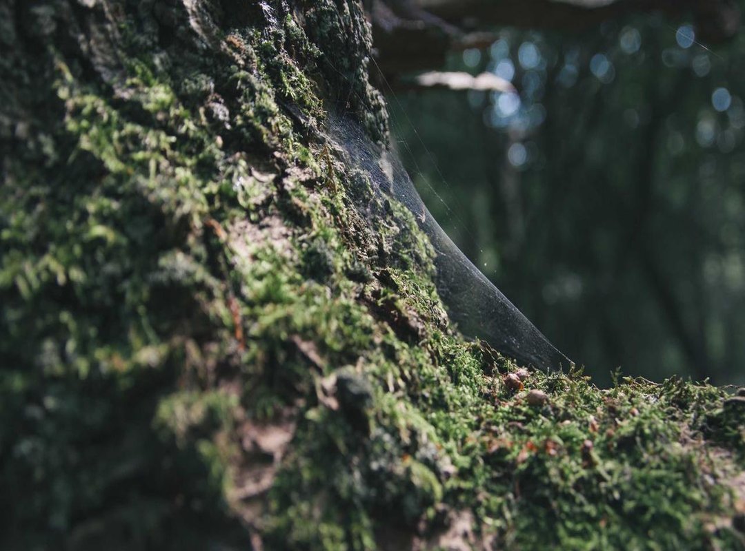 Step-by-Step Guide: Access and Implementation